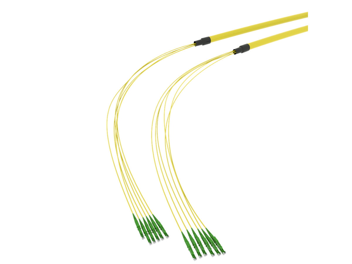SpiderLINE BC